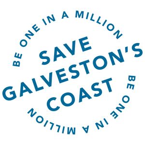 Team Page: Team North Shore